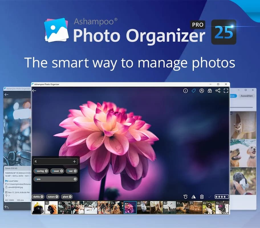 Ashampoo Photo Organizer Pro 25