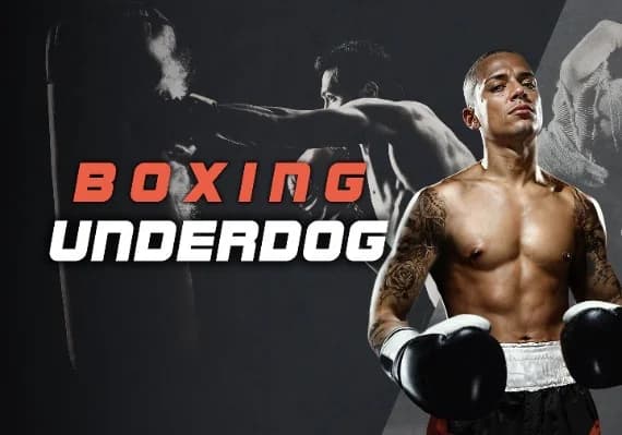 Boxing Underdog VR Gift