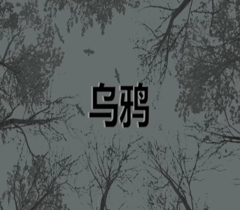 Crows - 乌鸦 PC Steam