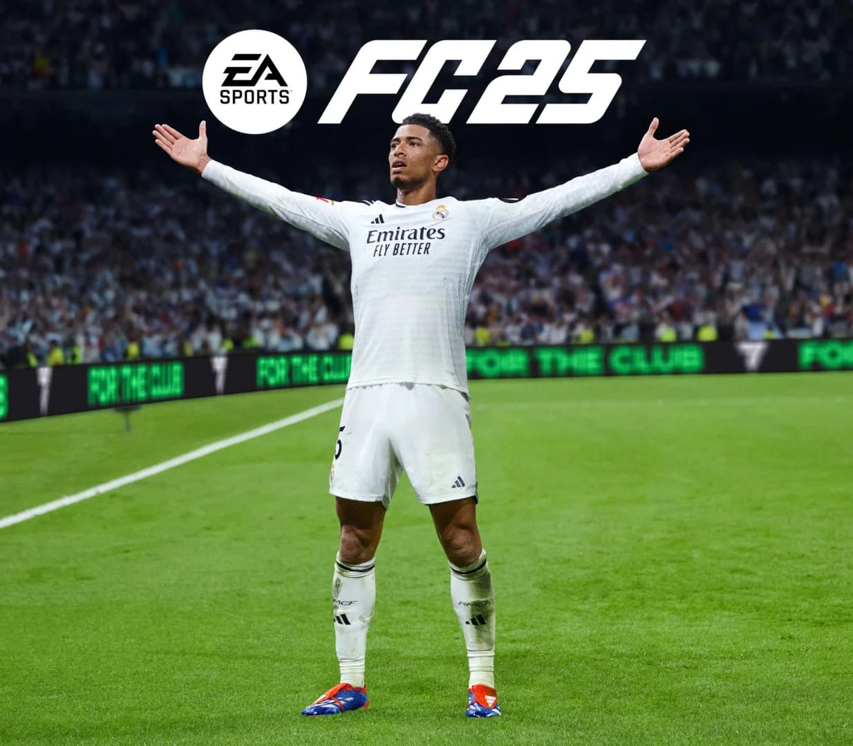 EA SPORTS FC 25 DE Language Only PC EA App