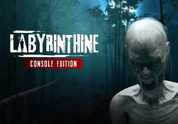 Labyrinthine Console Edition