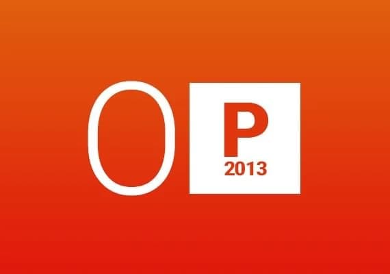 MS Office Professional 2013