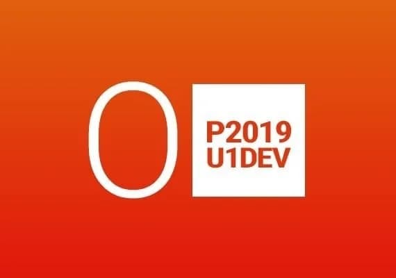 MS Office Professional 2019 2 PC