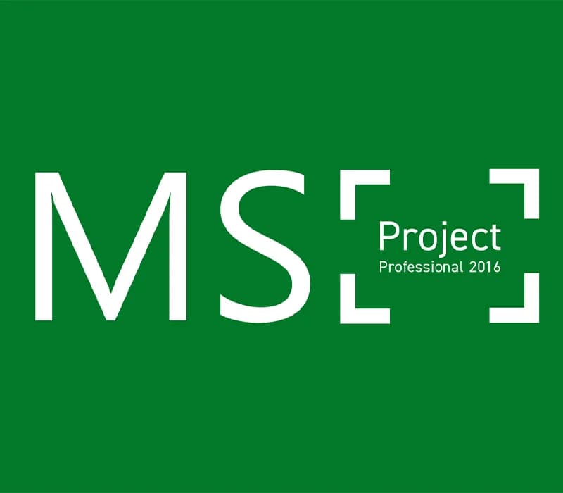 MS Project Professional 2016