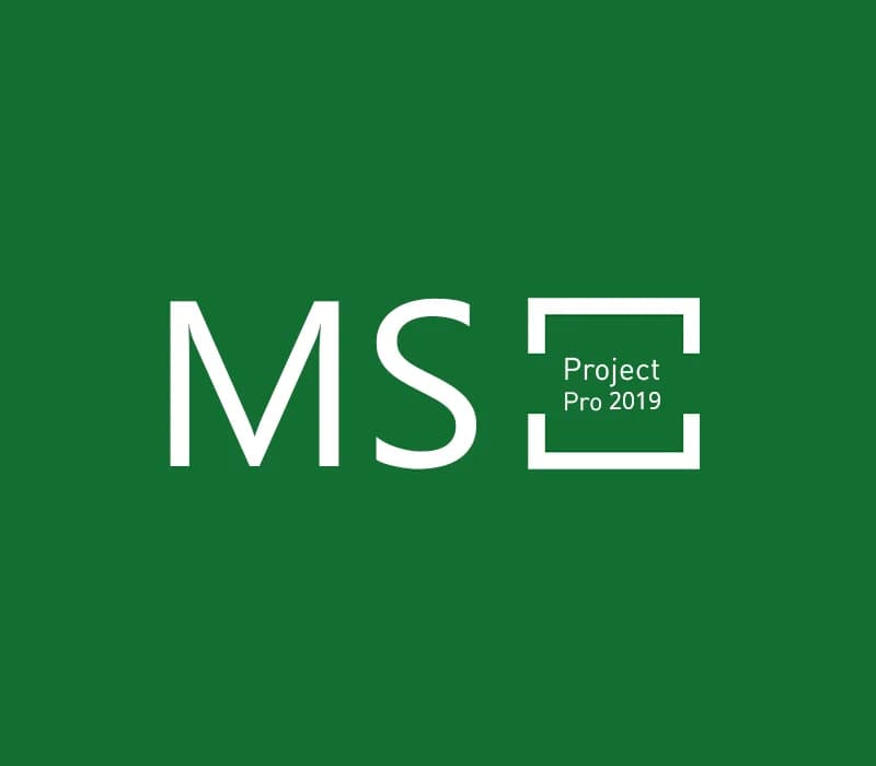 MS Project Professional 2019 Bind