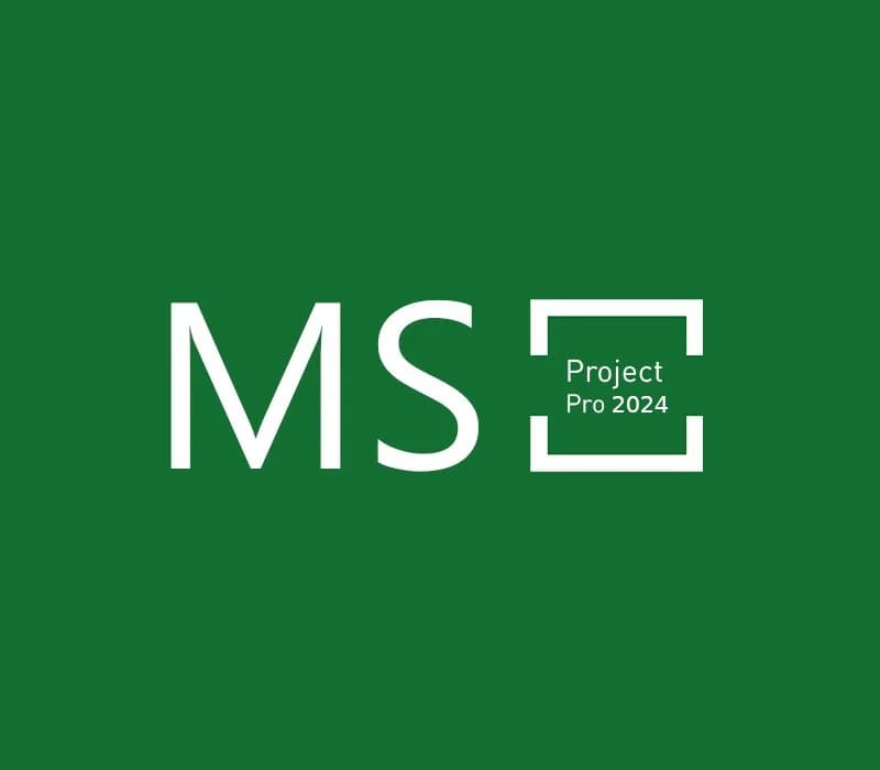 MS Project Professional 2024
