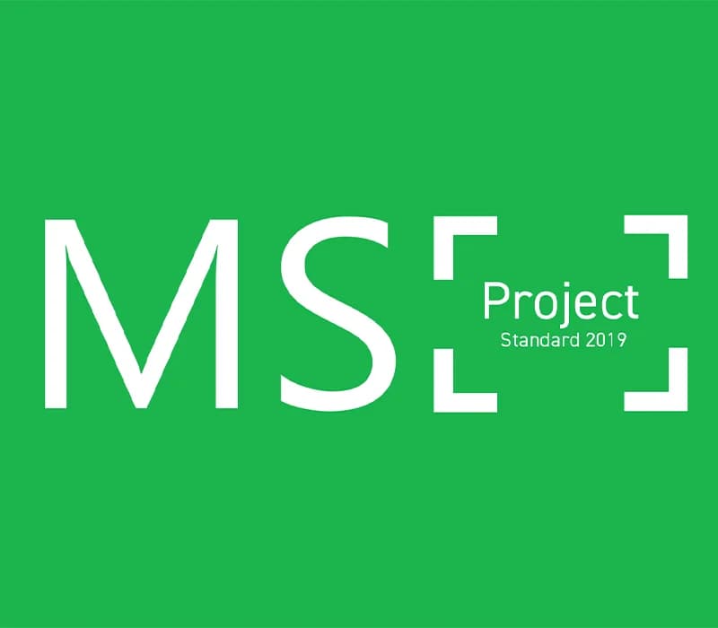 MS Project Standard 2019