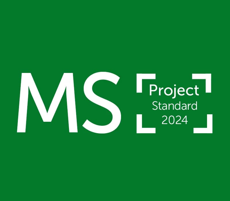 MS Project Standard 2024