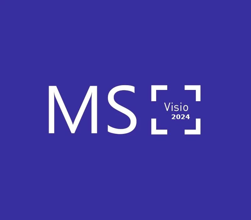 MS Visio Professional 2024 Bind