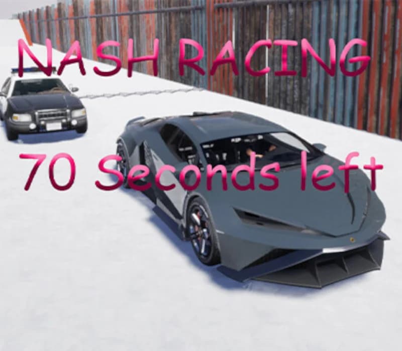 Nash Racing: 70 seconds left Steam