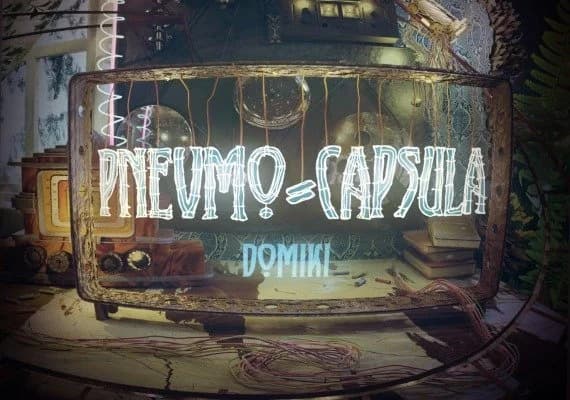 Pnevmo-Capsula: Domiki