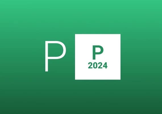 Project Professional 2024