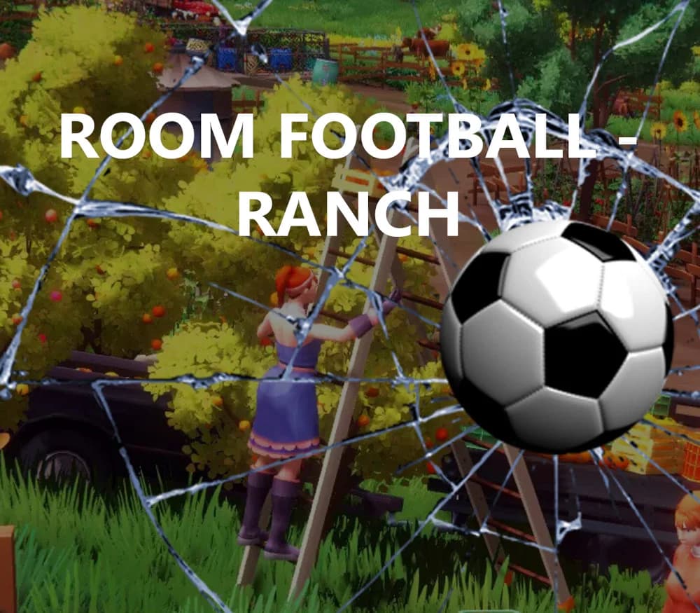 ROOM FOOTBALL: Ranch PC Steam