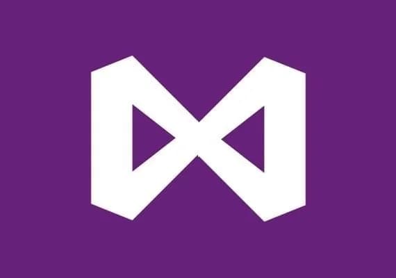 Visual Studio Professional 2022