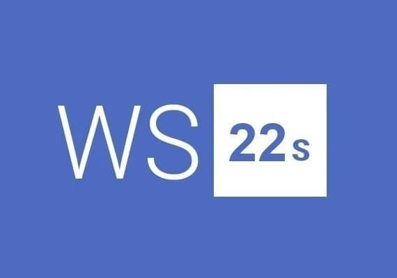 Windows Server 2022 Standard 2 Users