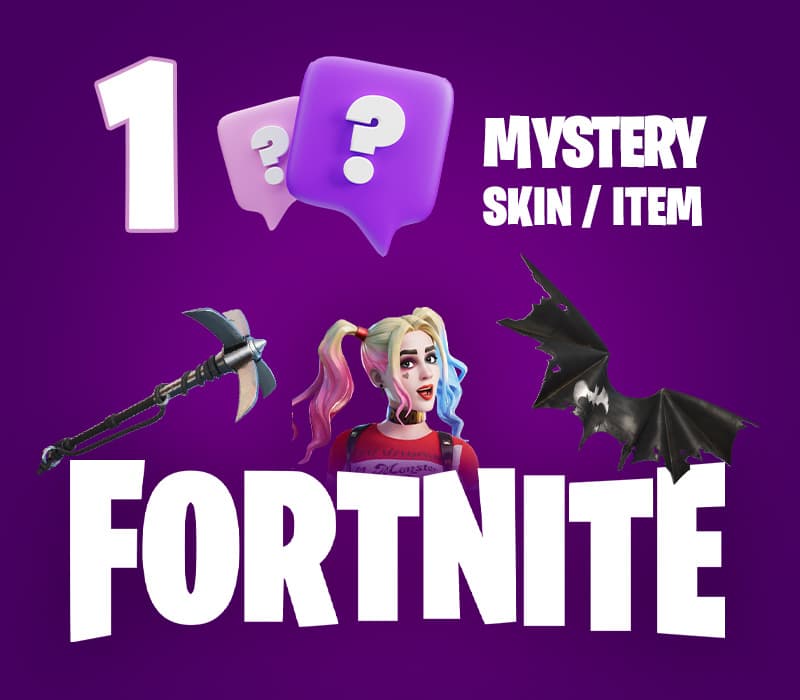 1 Mystery Fortnite Skin / Item