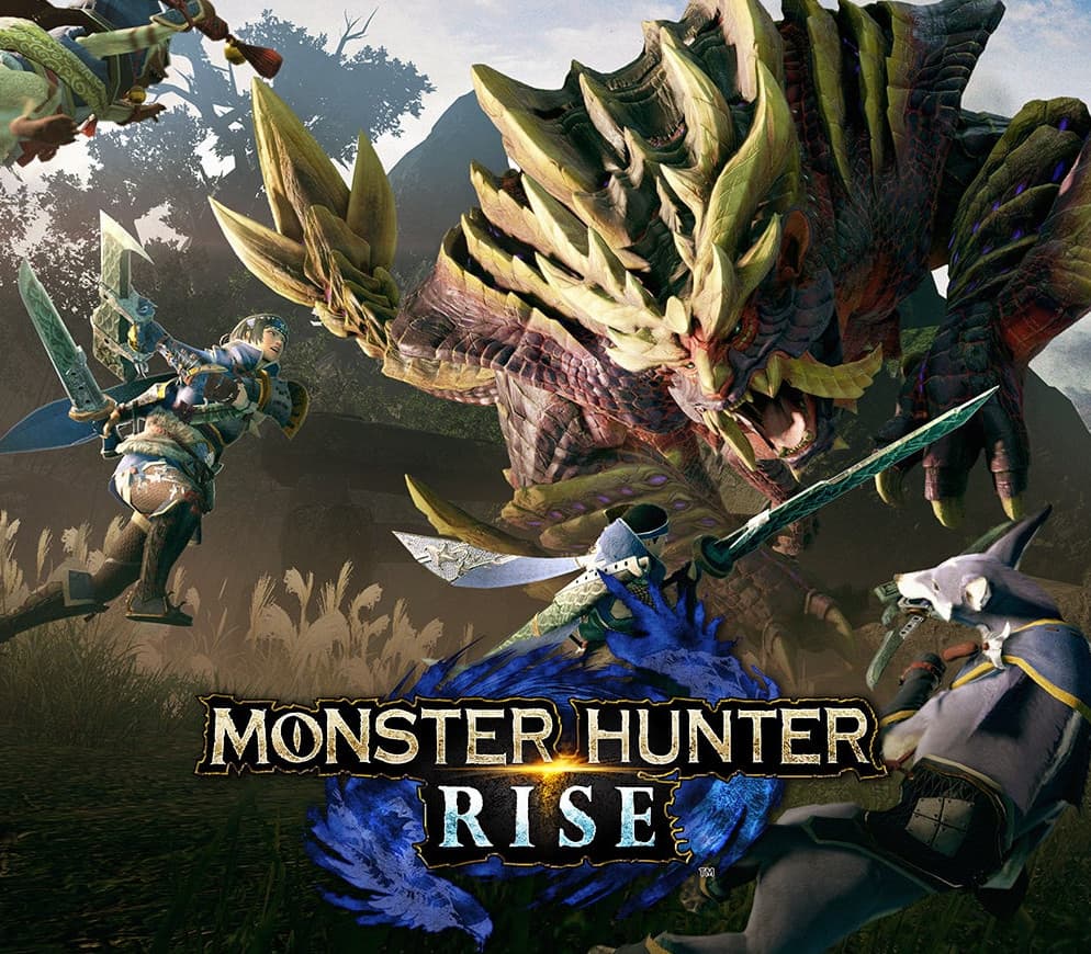 MONSTER HUNTER RISE Nintendo Switch Online Account Activation