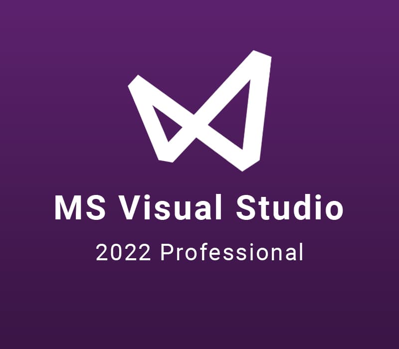 MS Visual Studio 2022 Professional