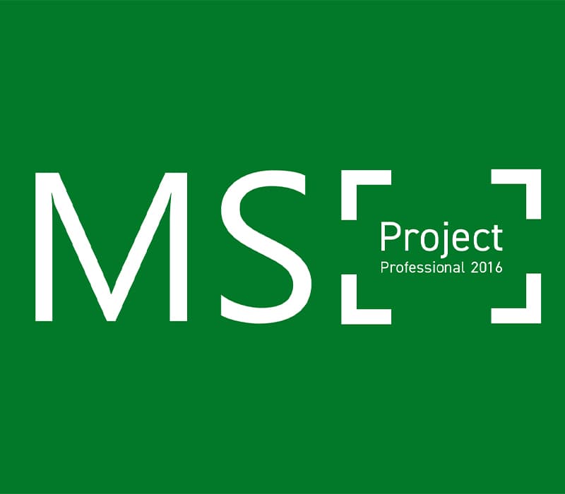 MS Project Professional 2016