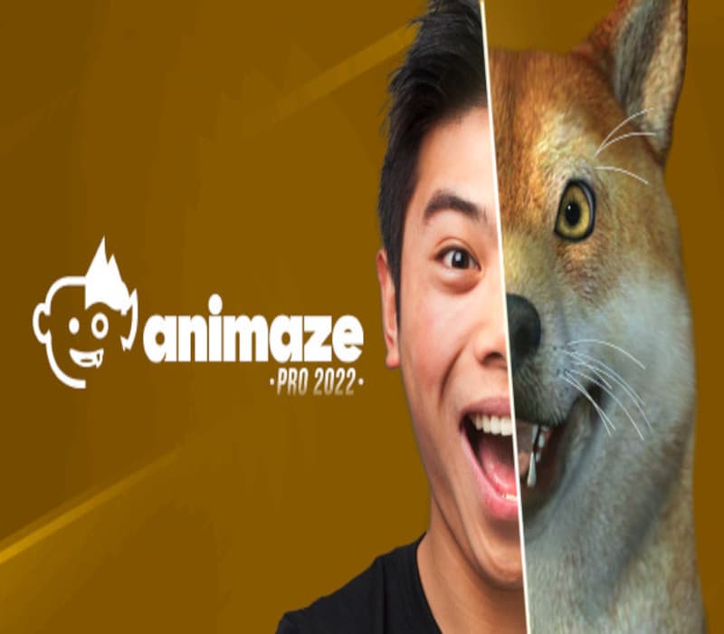 Animaze Pro 22 - Lifetime License DLC Steam