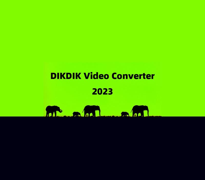DIKDIK Video Converter Steam