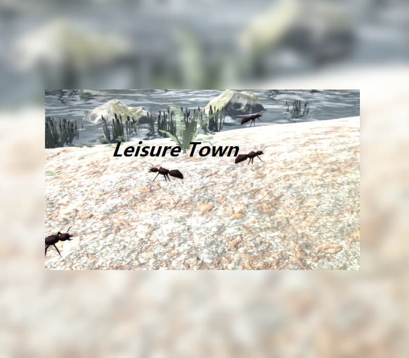 Leisure Town Steam