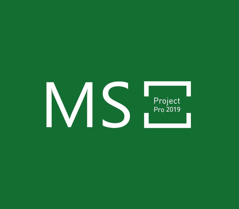 MS Project Professional 2019