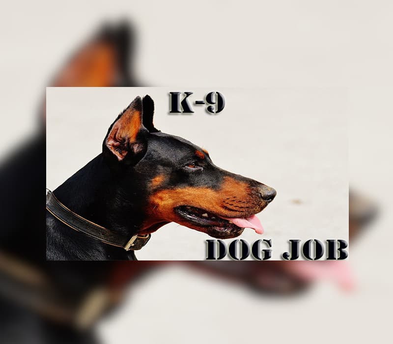 К-9 Dog Job Steam