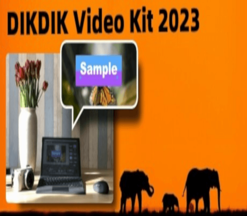 DIKDIK Video Kit 2023 PC Steam