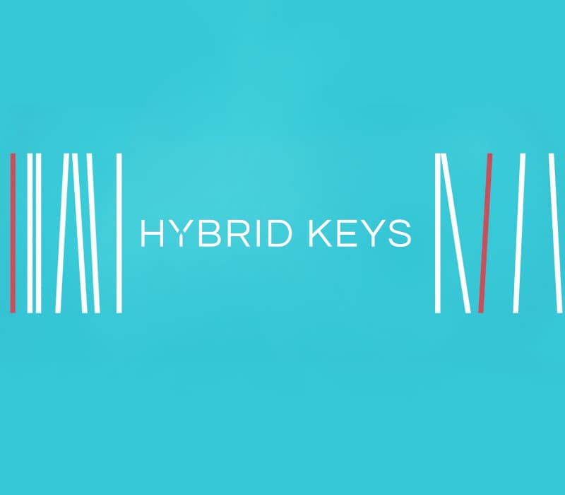 Native Instruments Hybrid Keys C