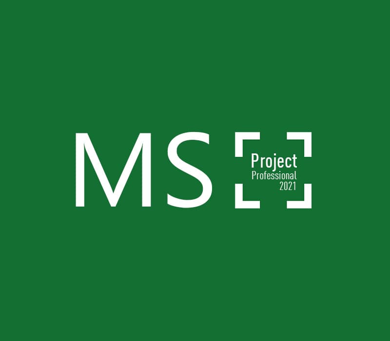 MS Project Professional 2021