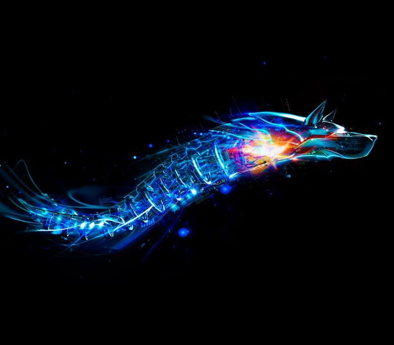 Bitdefender Antivirus Plus 2020 International