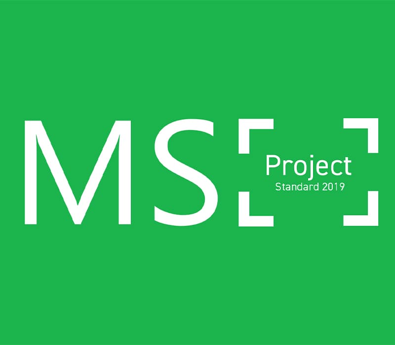 MS Project Standard 2019
